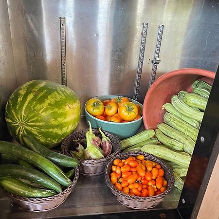 Eco Glamping With Pool Between Nafplio And Argos Luaran gambar