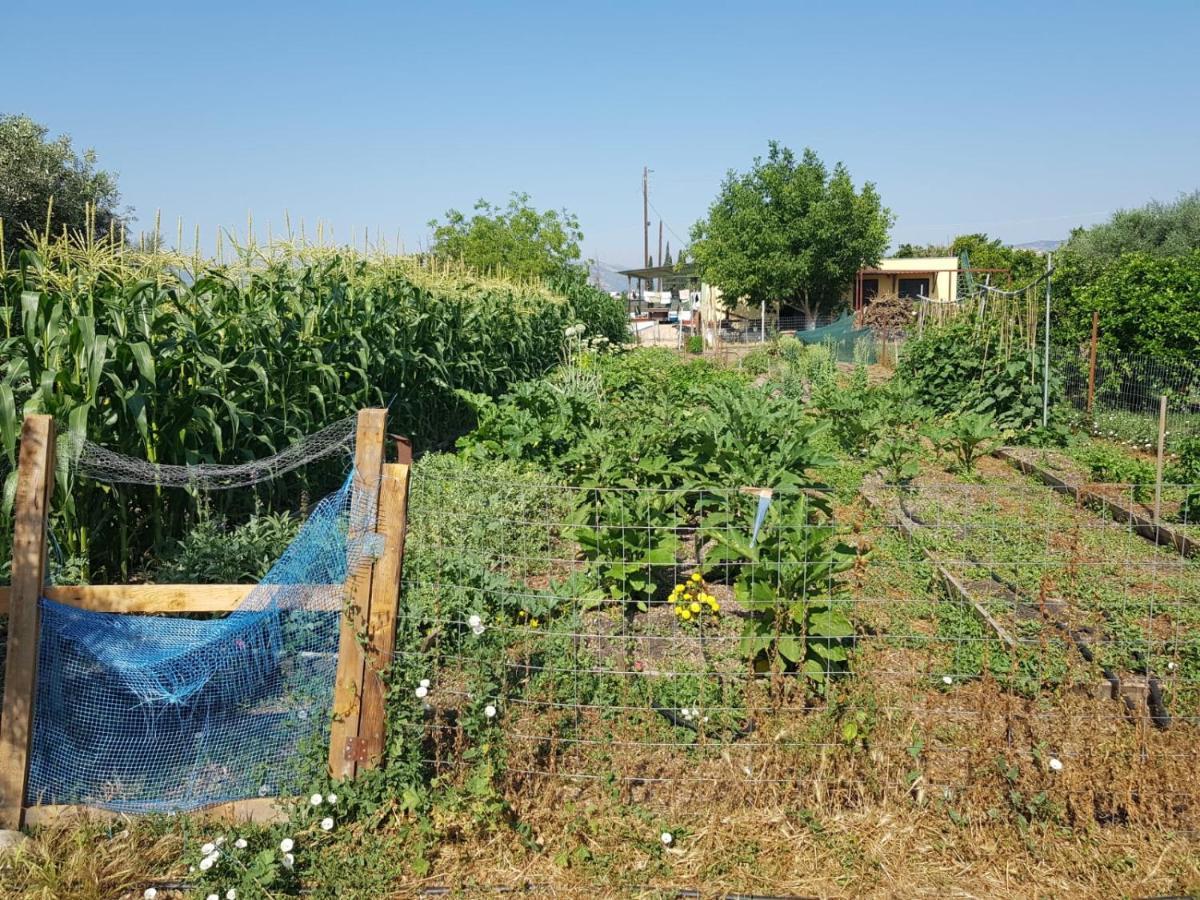 Eco Glamping With Pool Between Nafplio And Argos Luaran gambar