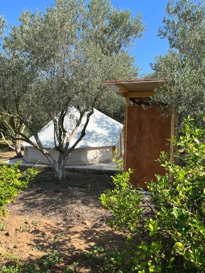 Eco Glamping With Pool Between Nafplio And Argos Luaran gambar